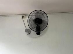 Blk 438 Chong Boon Rise (Ang Mo Kio), HDB 4 Rooms #524762751